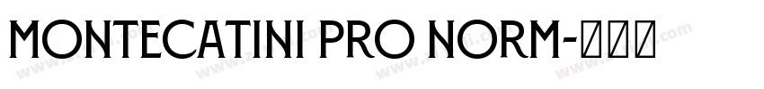 Montecatini Pro Norm字体转换
